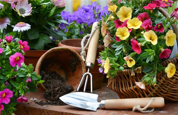 Gardening pots and tools